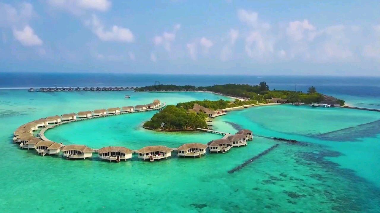 探秘吉鹿力问答社区,解锁这个看着是真的吗?新世界
