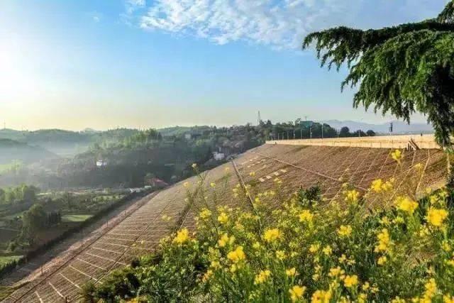 广东省惠州市惠阳区和畅区一路车管所电话号码?-专业问答交流平台